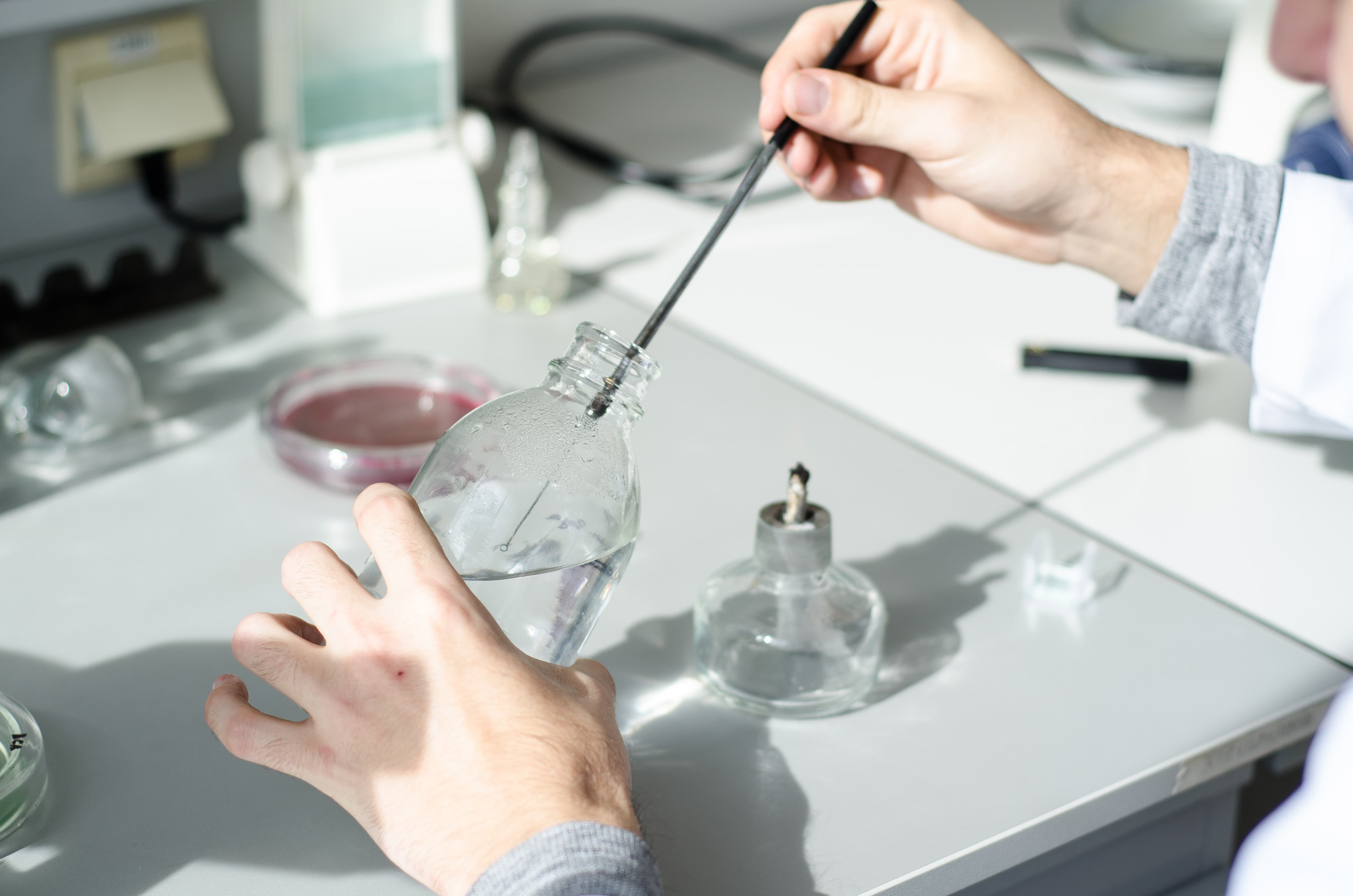 A disponibilidade garantida de mercadorias