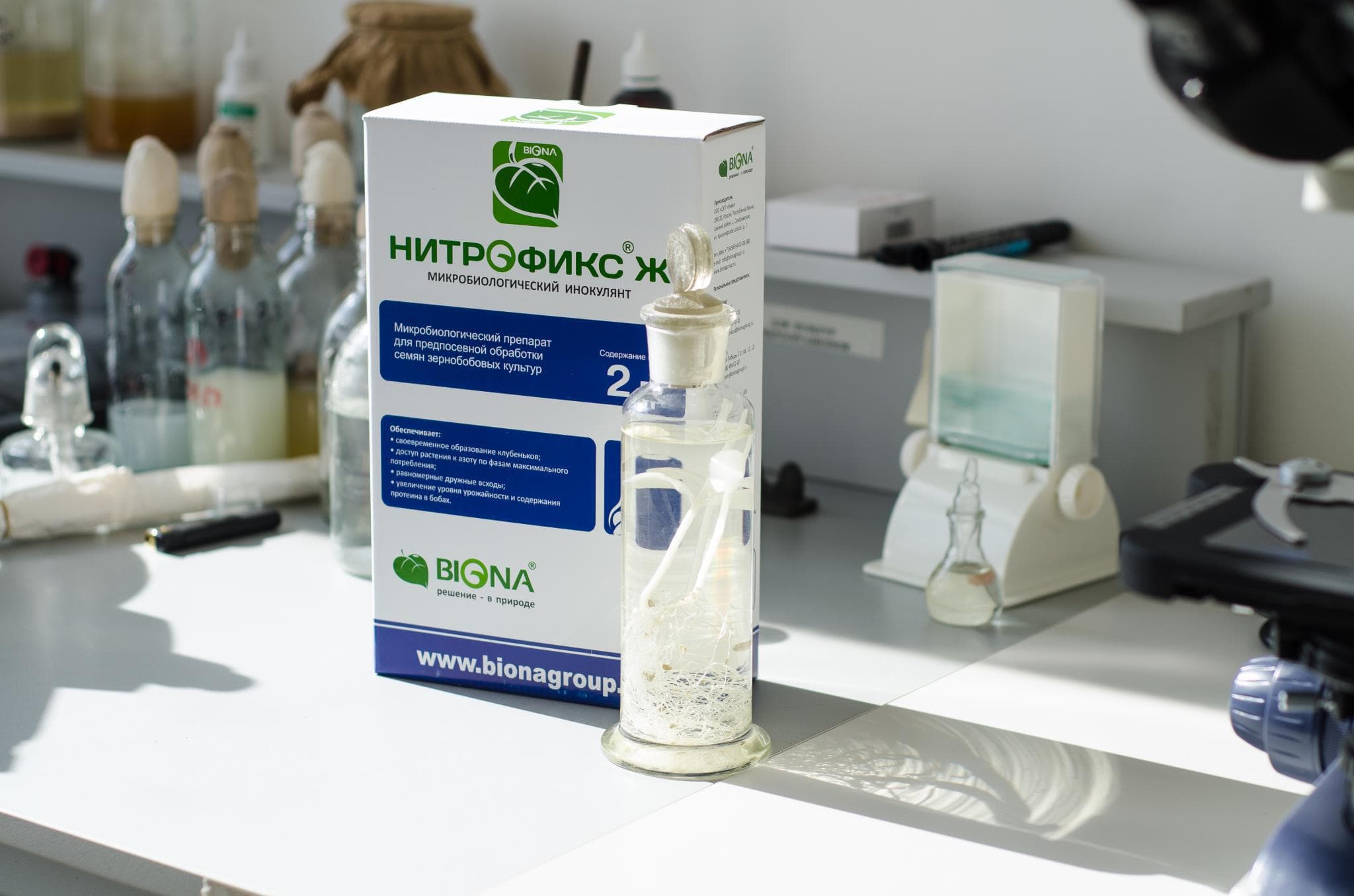 Entrada rápida no mercado